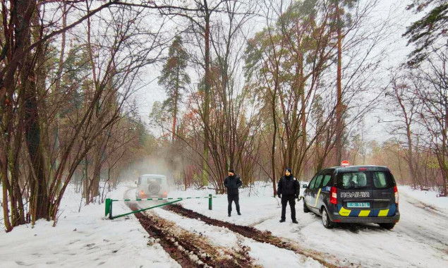 З початку грудня у Києві зафіксовано 4 випадки пошкодження хвойних дерев - “Київзеленбуд”