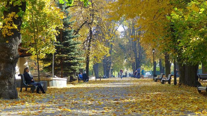 Цьогорічна осінь посіла друге місце серед найтепліших з 1881 року у столиці