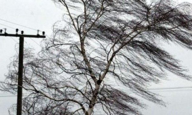Киян та мешканців Київщини попереджають про можливі потужні пориви вітру