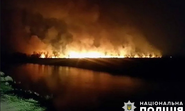 Пожежа в екопарку “Осокорки”: правоохоронці розпочали кримінальне провадження