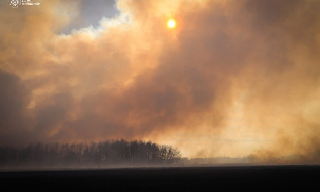 На Обухівщині за дві доби вогнем знищено більше 30 га земель (фото, відео)