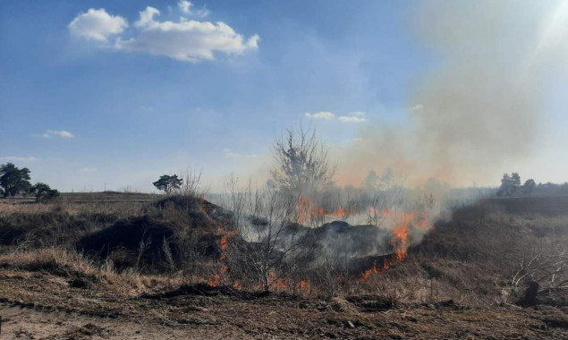 На Київщині невідомі підпалили ландшафтний заказник “Казковий яр”