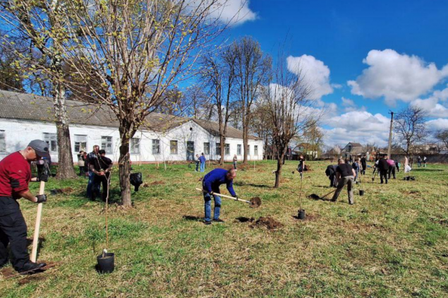 У Макарові разом з послом Канади мешканці висадили 100 дерев в пам'ять про вбитих росією дітей (фото)